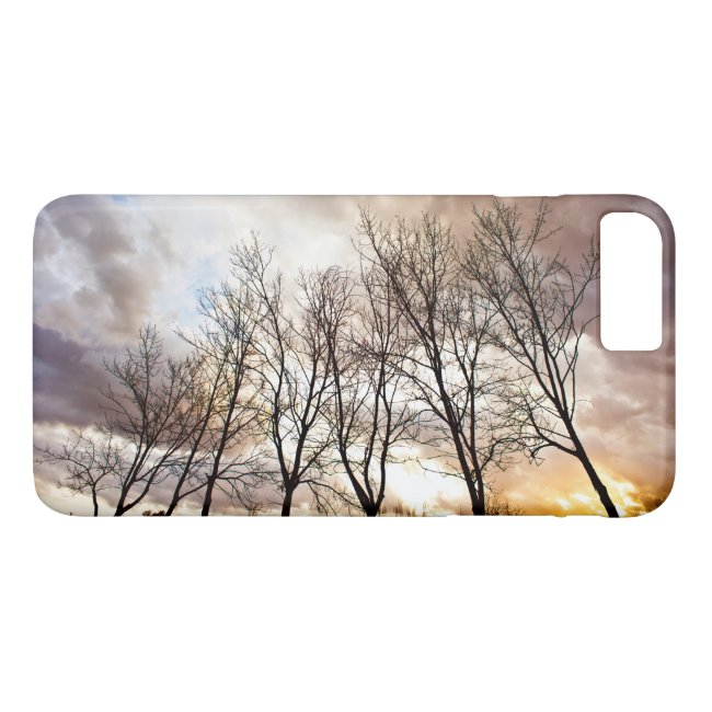 Forest trees in autumn