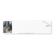 forest "troll" in the snow #2 bumper stickers