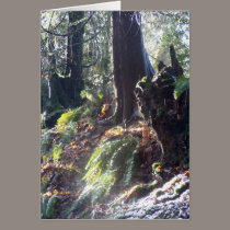 forest "troll" in the snow #2 cards