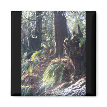 forest "troll" in the snow #2 magnets