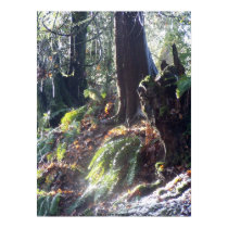 forest "troll" in the snow #2 posters