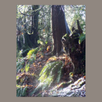 forest "troll" in the snow #2 posters by dlmtleArt forest "troll" in the snow #2 posters