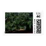 Forest Walk Postage Stamp