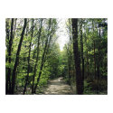 Forest Way posters by janMarco Forest Way posters