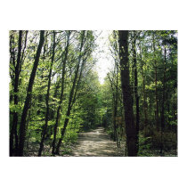 Forest Way posters by janMarco Forest Way posters