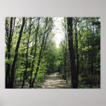 Forest Way Print