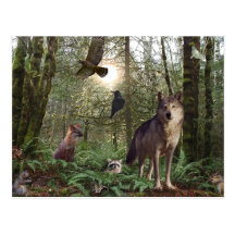 Forest Wild Animals Wildlife Nature Postcard