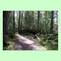 forestpath cards