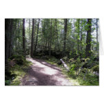 forestpath card