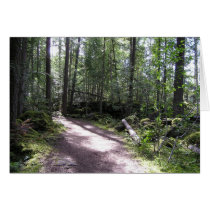forestpath cards by IGTFtleine forestpath cards