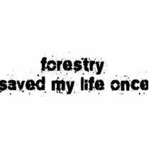 Forestry Saved My Life Once photo sculptures