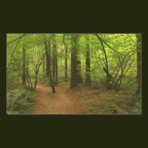 Forests Canopy stickers