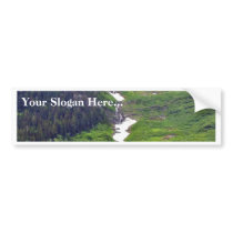 Forests Hillsides Fog Clouds Pines Trees Pinetrees bumper stickers