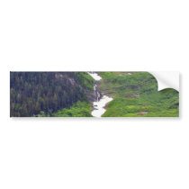 Forests Hillsides Fog Clouds Pines Trees Pinetrees bumper stickers