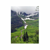 Forests Hillsides Fog Clouds Pines Trees Pinetrees Photo Cut Outs