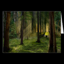 Forests of Dawn greeting card cards