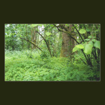 Forests Spring stickers