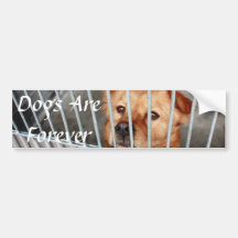 Forever Bumper Sticker
