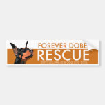 Forever Dobes Bumper Sticker