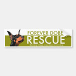 Forever Dobes Bumper Sticker