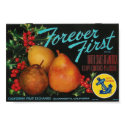 forever first pears poster posters