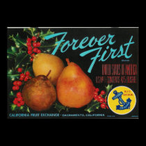 forever first pears poster posters