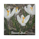 Forever Love... magnets by jadianprime Forever Love... magnets