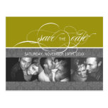 Forever More  SAVE THE DATE Photo Postcard:bamboo