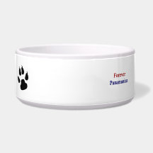 Forever Panamanian Pet Water Bowl