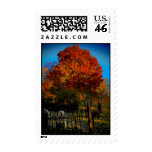 Forever Red Postage postage