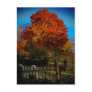 Forever Red Postcard