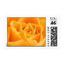 Forever Rose postage