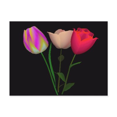 Forever Tulips 3 Post Cards by CaringHearts