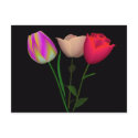 Forever Tulips 3 postcards