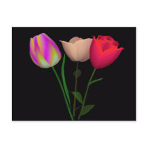 Forever Tulips 3 postcards