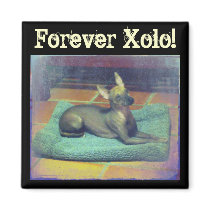 Forever Xolo! Magnet