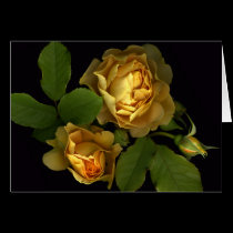 Forever Yellow Roses II cards