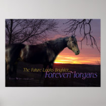 ForeverMorgans Black Rescue horse Poster