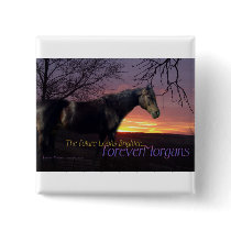 ForeverMorgans Bright Future Morgan Horse Pinback Buttons