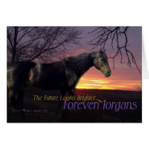 ForeverMorgans Bright Future Morgan Horse Cards