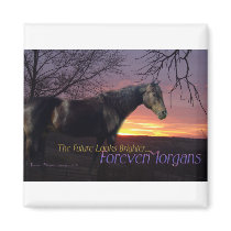 ForeverMorgans Bright Future Morgan Horse Magnets