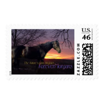 ForeverMorgans Bright Future Morgan Horse Postage