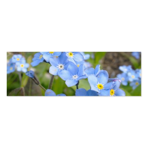Forget Me Not Bookmark Business Card (front side)