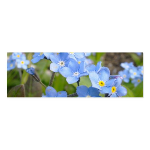 Forget Me Not Bookmark Business Card (back side)