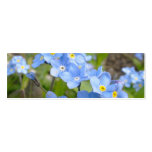 Forget Me Not Bookmark Business Card
