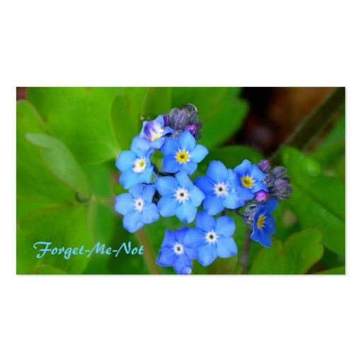 Forget-Me-Not Business Card (back side)