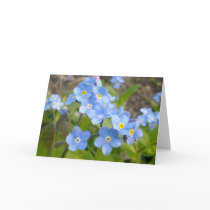 Forget Me Not Card