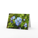 Forget-Me-Not Card