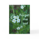 Forget me not Card