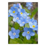 Forget Me Not Card